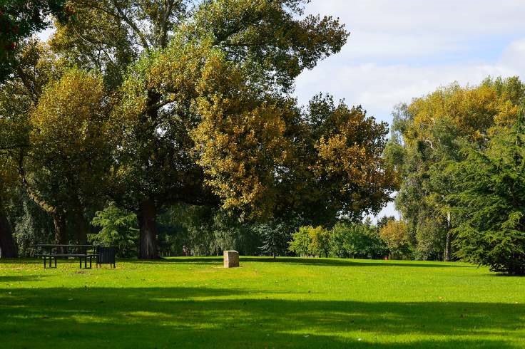 Green spaces at Sandall Park